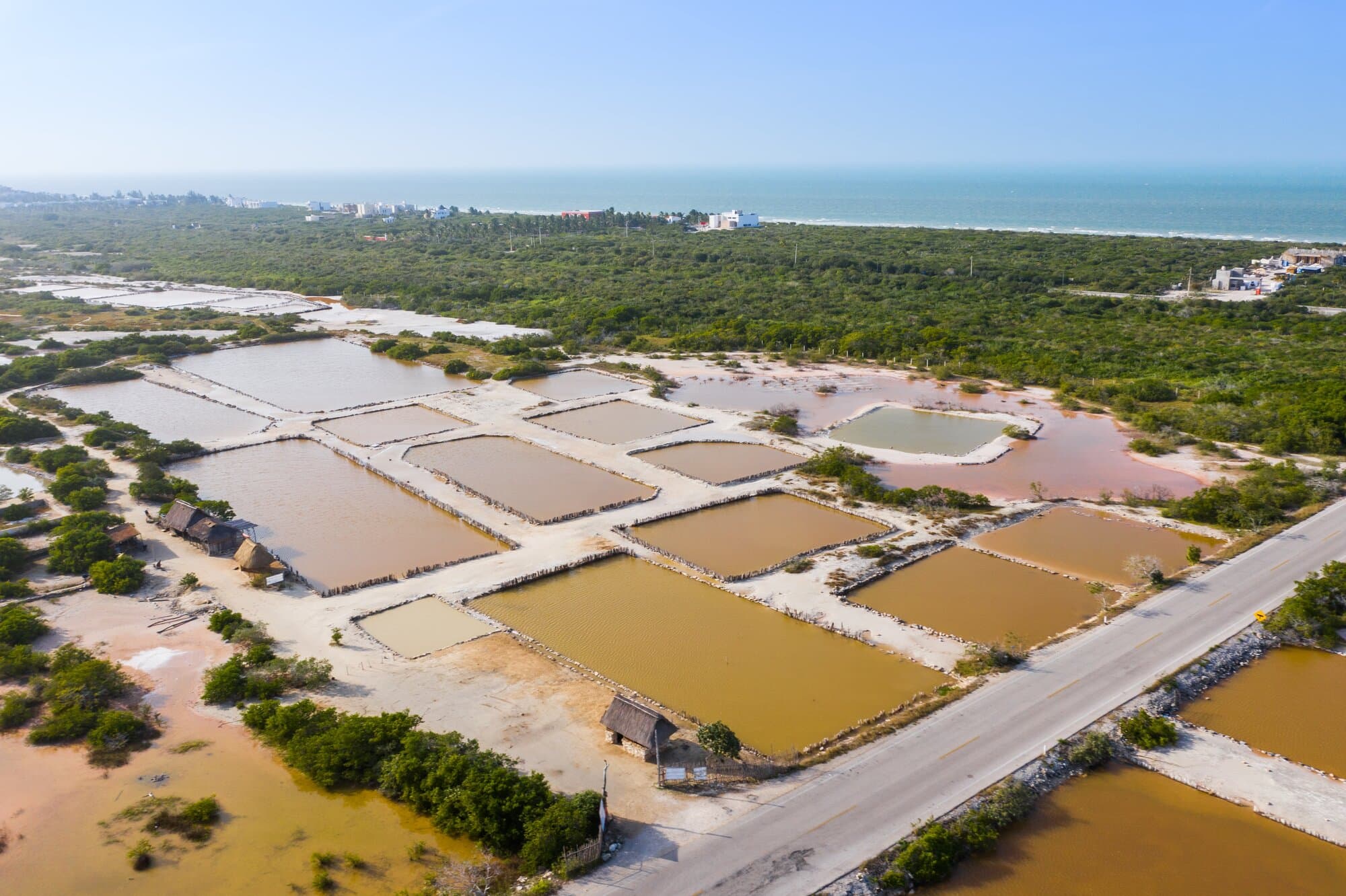 Prime Aqua Nutrition Expands European Distribution Network