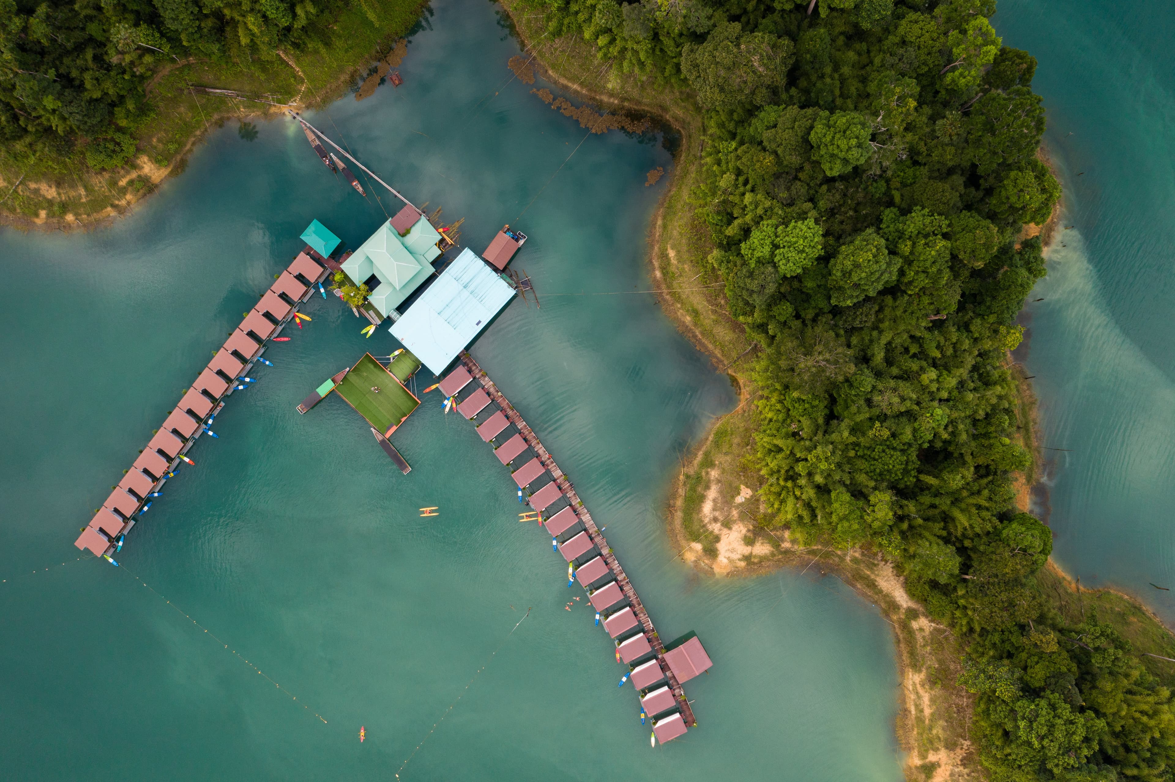 Guide: Optimizing Artemia Hatching for Maximum Efficiency