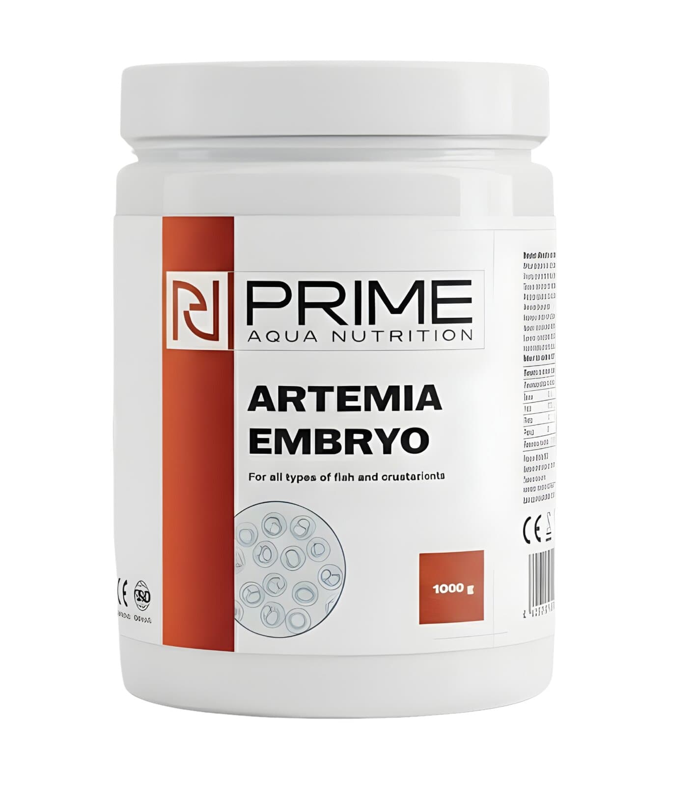Artemia Embryo